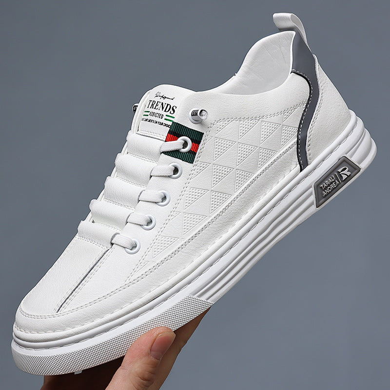 Pierre - Baskets Homme en Cuir